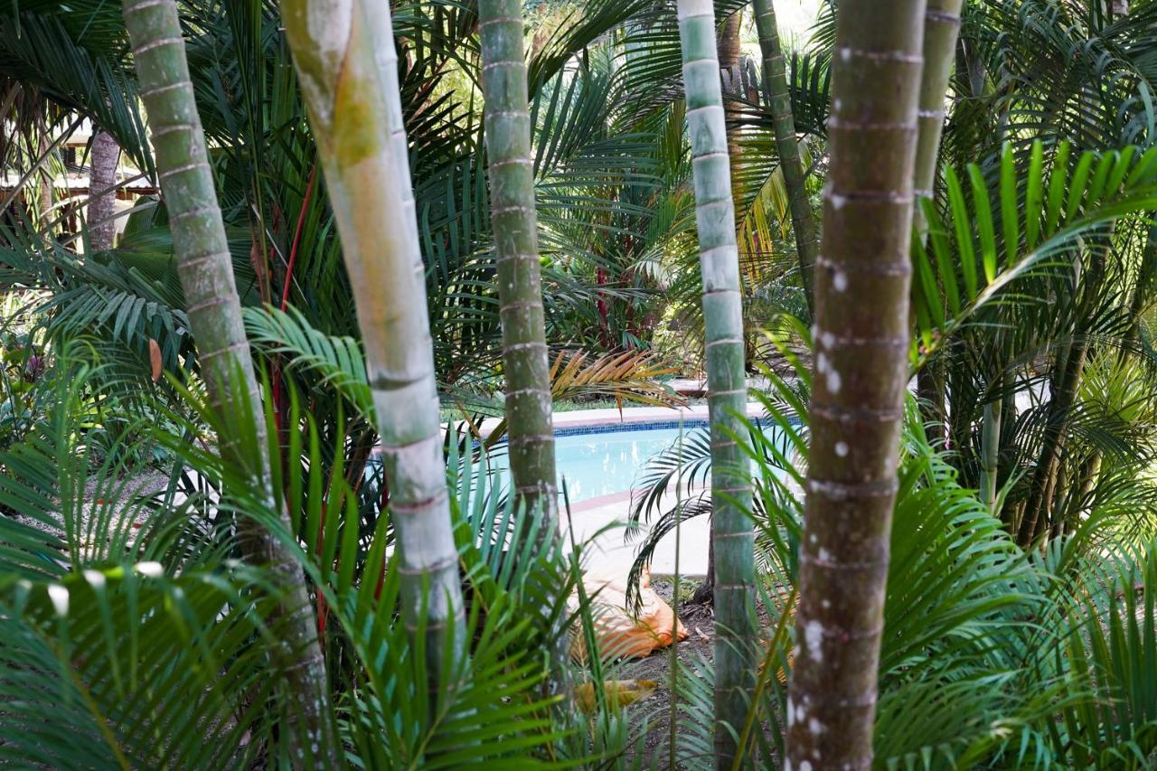 Hotel Luz De Luna Playa Santa Teresa  Екстериор снимка