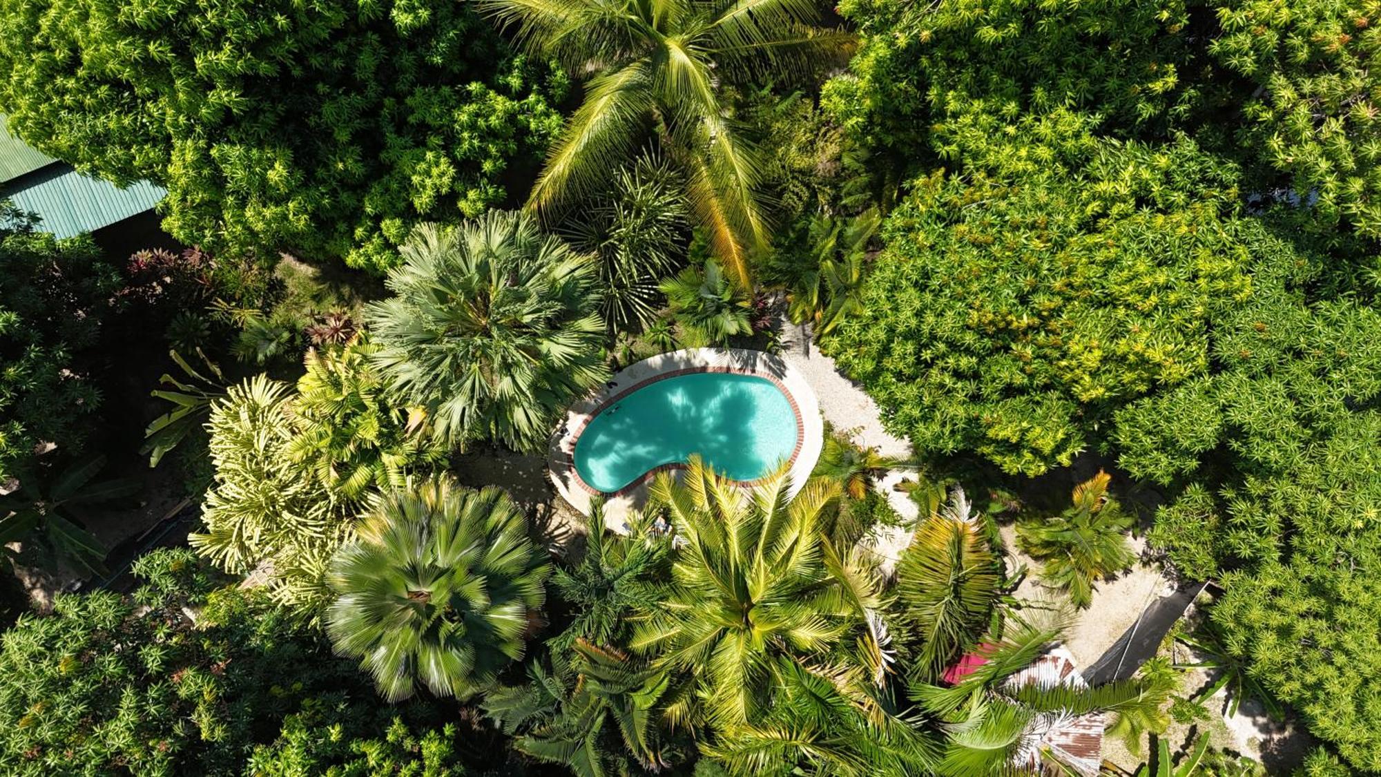 Hotel Luz De Luna Playa Santa Teresa  Екстериор снимка